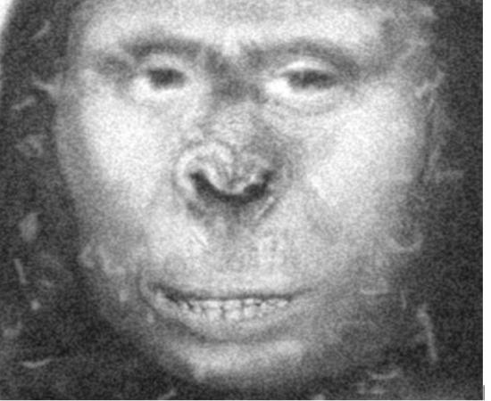 Zana, Russian Ape Woman 