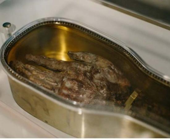 The Holy relic, St. Francis Xavier’s arm. 