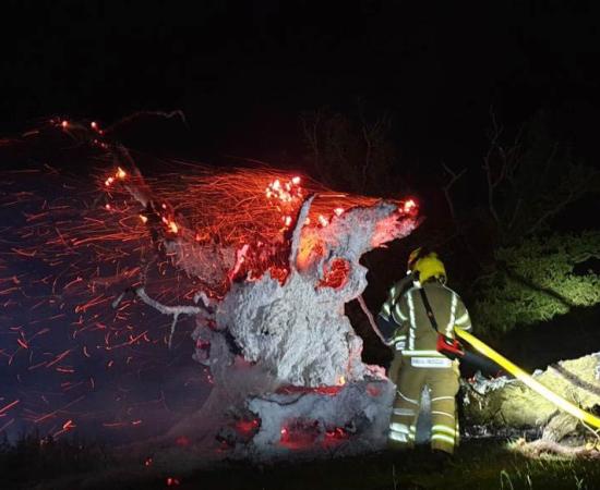 The sacred Whiteleaved Oak near Ledbury has been destroyed by fire. Source: Ledbury Fire Station / Hereford Times