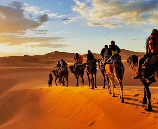 Camel caravan. Source: Gaper / Adobe Stock.
