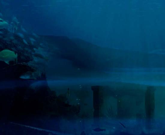 Deriv; Google Earth Saint Croix Basin, Artist’s concept of Underwater Ruins. Image of fish. Source:  (Anthony Jauneaud/flickr, (Saramarielin/flickr)