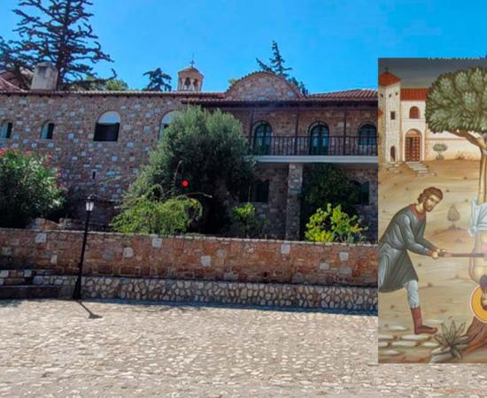 Saint Ephraim Monastery, Nea Makri, Greece. Photo: Joanna Gillan