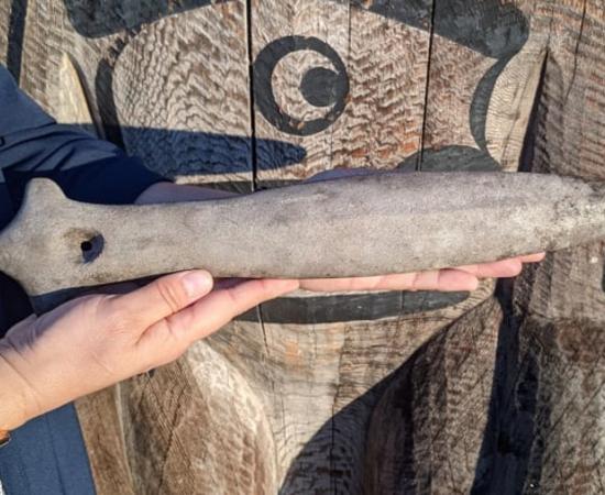 This Native American Salish war club was found in a British Columbia backyard by Canadian Mark Lake, who returned it to its rightful owners, the K'omoks First Nation people.		Source: K'omoks First Nation