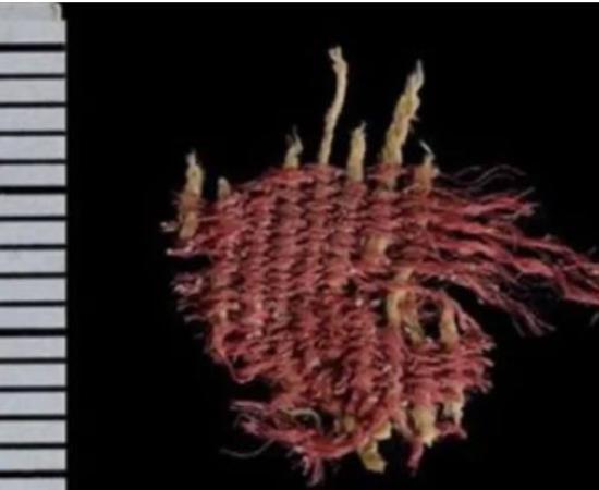 Sample of the oldest known insect-dyed fabric.	Source: Dafna Gazit/Israel Antiquities Authority