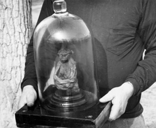 The San Pedro Mountains Mummy