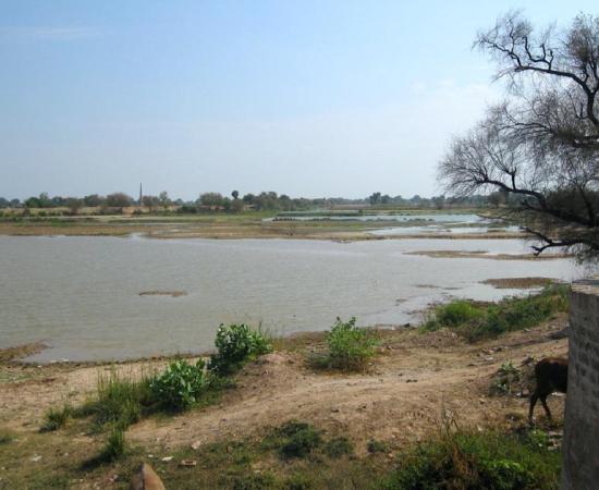Bed of Ghaggar River near Hanumangarh. Researchers claim this is the ancient Saraswati River. Source: Bharat Jhunjhunwala / CC BY-SA 2.0.