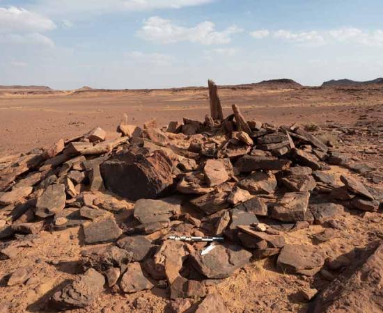 Saudi Arabian Dog Remains Are A Shocking Find