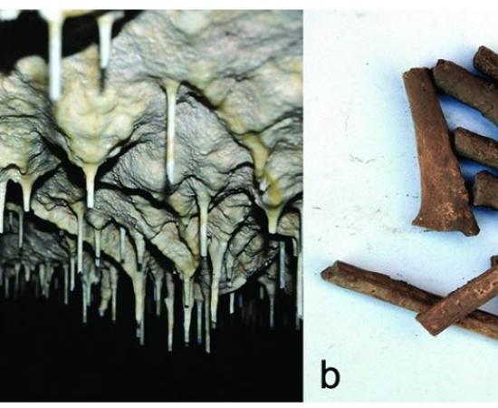 In Scaloria Cave stalactites on the cave ceiling and at right a mixture of stalactite fragments and human bone fragments, found during 2013 excavations 