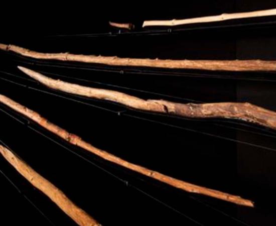 Schöningen Spears. Source: Forschungs Museum Schoningen. 