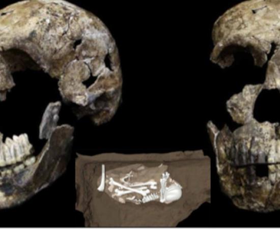 Three-quarter and frontal views of Homo naledi skull from Lesedi Chamber, South Africa. Inset; Image Homo naledi remains in situ at Rising Star cave