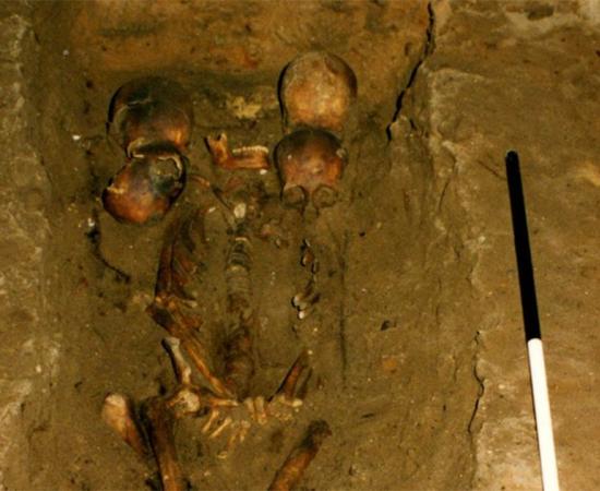 The six-headed chief was discovered within a medieval Scottish burial. Source: FAS Heritage