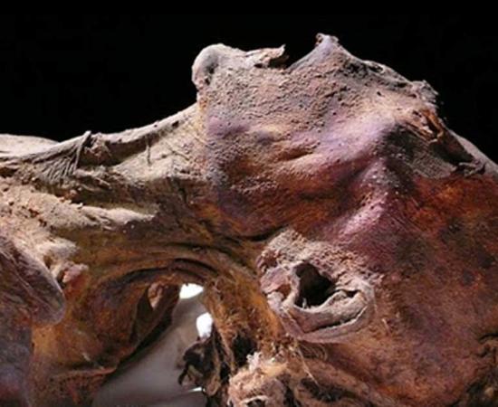 The Mystery of the Screaming Mummy