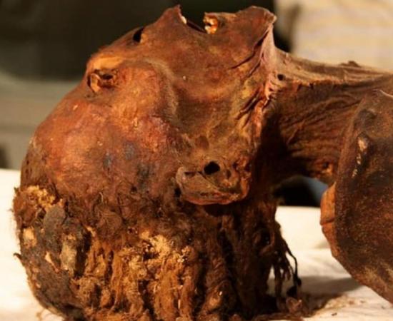 The ‘Screaming Mummy’ of the woman about to be scanned.