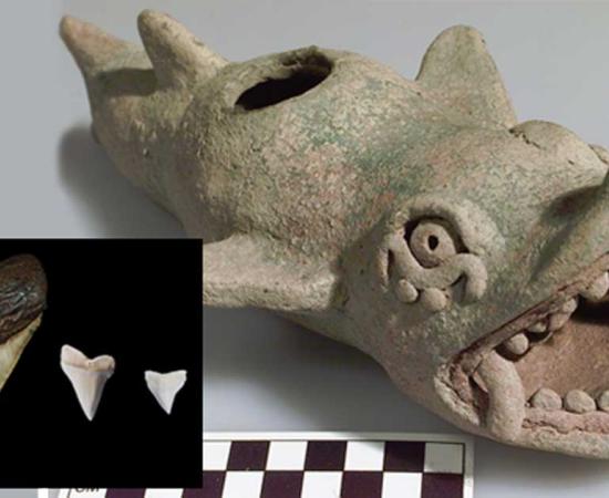 Mayan Depictions of Sea Monsters May Be First Representations of Ancient Sharks  
