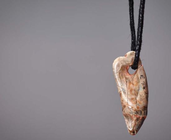 15,000-Year-Old Seal Tooth Pendant found in Kent's Cavern, Devon, UK