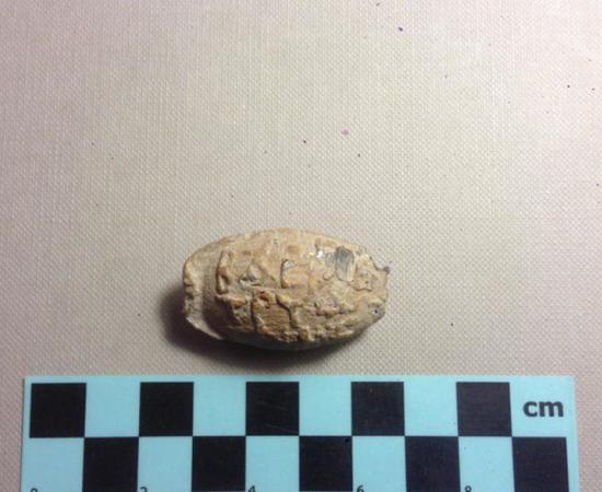 The 3-cm or 1.2-inch lead Seleucid sling stone recently unearthed at the Zif South Hebron Hills archaeological site in Israel.		Source: COGAT