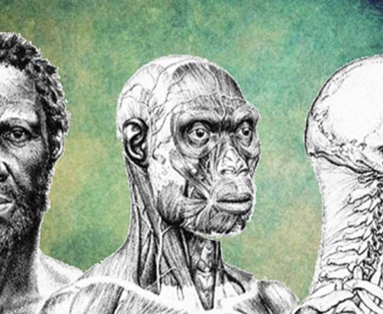 Depiction of what the ancient 'Herto Man' may have looked like. His skull dates to 160,000 years ago.