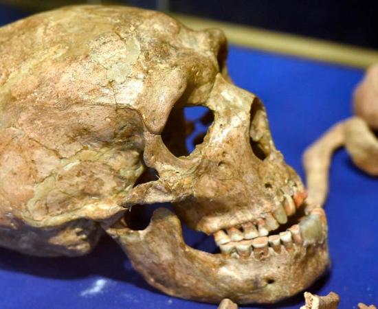 Neanderthal remains, Shanidar Cave (CC by SA 4.0)