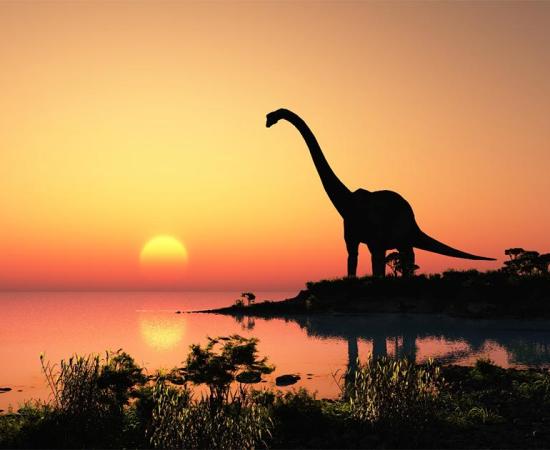 Days were shorter during the time of the dinosaurs.  Source: Kovalenko I / Adobe Stock
