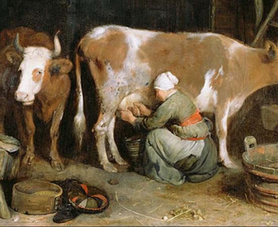 Should Adults Really Be Drinking Milk? Studying Neolithic Ancestors Suggests Not