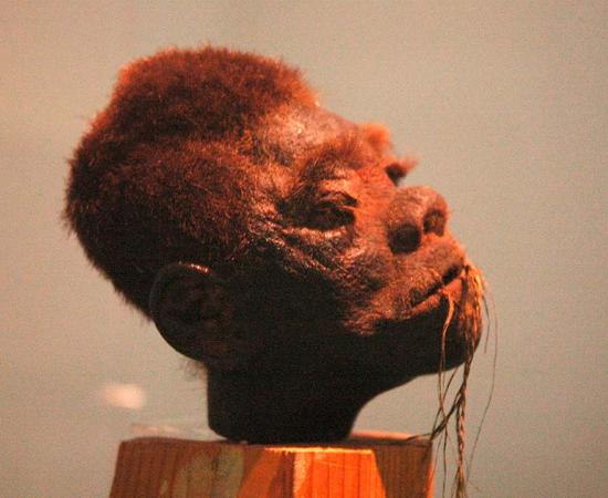A shrunken head of Jivaro on display.  Source: Tylwyth Eldar / CC BY-SA 4.0