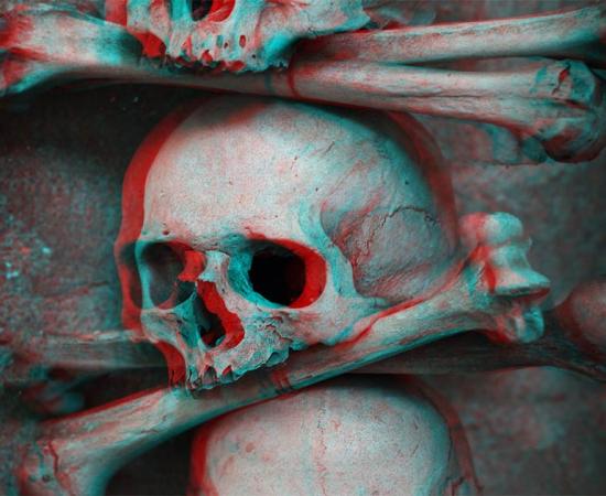 Ancient Siberian nomadic violence was extreme and interpersonal, which suggests violence was a part of life with or without war.             Source: Liliia / Adobe Stock