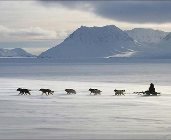 Ancient people used dog sleds to cover these remarkable distances 'at the ends of the earth'. 