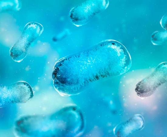 Top image: Colony of microbes, representational image. Source: iarhei / Adobe Stock