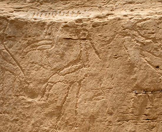 Significant Inscriptions Found in Egypt: From the Earliest Huge Hieroglyphs to Greek-Roman Period Graffiti