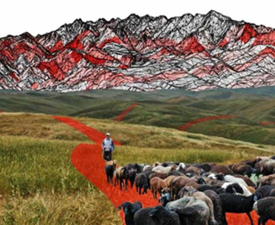 Did Nomads and their Herds Carve Out the Silk Road?