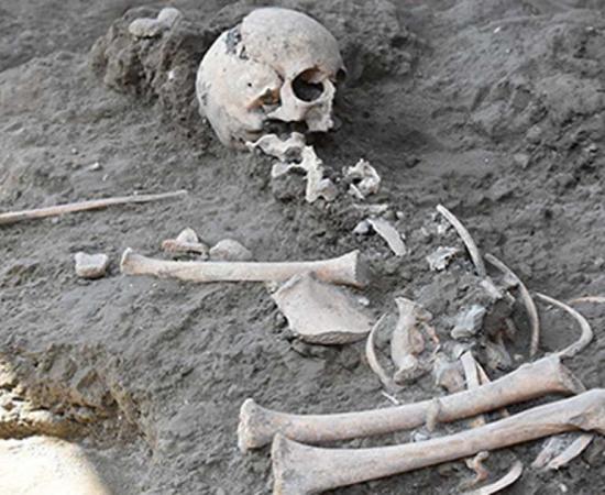 The child skeleton recently discovered at Pompeii. 