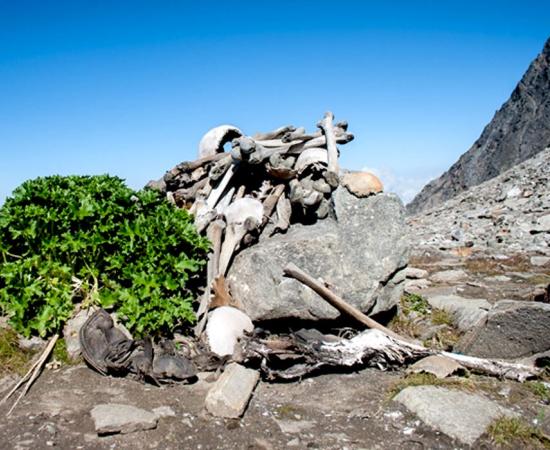 Human Skeletons at Roopkund Lake aka Skeleton Lake