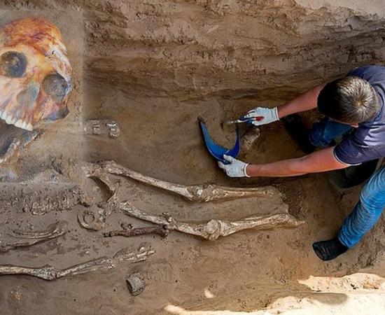  Skeleton found at the Nikolyskoye nomad burial site