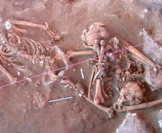 Skeletons unearthed at a 3,000-year-old cemetery in Vanuatu. 