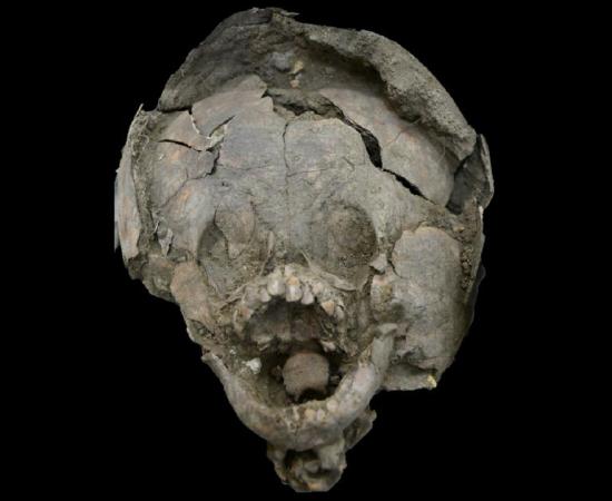 Infant discovered at Salango, Ecuador, with a skull helmet. Source: Twitter.