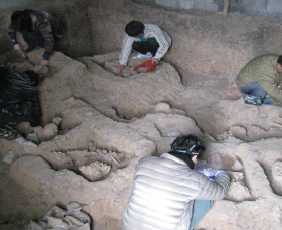 The team excavating an ancient hunter-gatherer cemetery in Guangxi, southern China