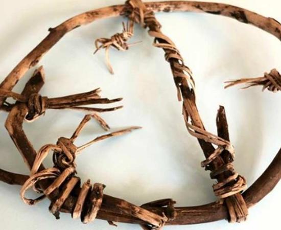 5,800-Year-Old Snowshoe Kept in Office as a Keepsake by its Finder is Oldest in the World