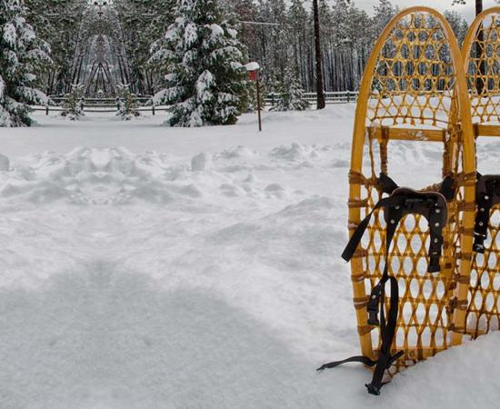 Traditional snowshoes. Source: debspoons / Adobe Stock.
