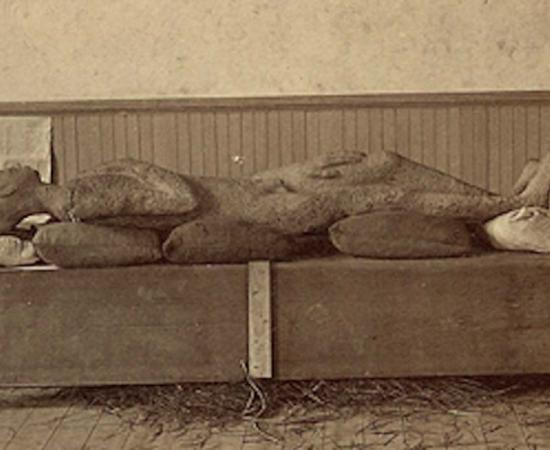 The Solid Muldoon was supposedly a prehistoric ‘petrified human body’ unearthed in 1877.
