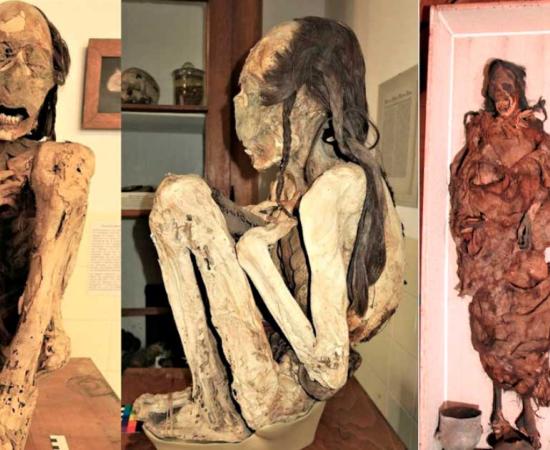 Two of these South American mummies were victims of violent deaths. Source: Begerock et al. 2022/ Frontiers in Medicine