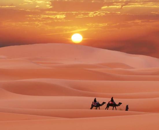 A new study has found links between the end of the Green Sahara, the era when the Sahara Desert was lush and green, and the Southeast Asian megadrought that lasted a millennium. Source: Galyna Andrushko / Adobe Stock