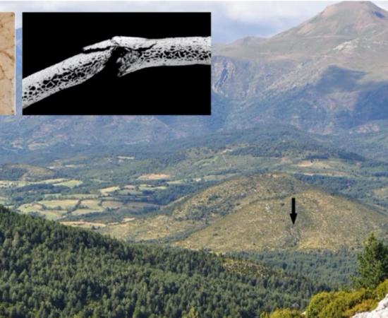 Main: view of the Els Trocs cave entrance in the Spanish Pyrenees located on the southern slope of a karst hill on the high plateau of Selvaplana; seen from the pass of the Puerto de las Aras. Source: H. Arcusa Magallón / Scientific Reports. Inset: Images of part of the skeletons damaged by blunt objects/arrows during the massacre. Source: T. Schuerch / G. Schulz / Scientific Reports