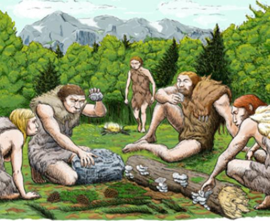 An artist’s impression of the El Sidron Neanderthals who were likely gathering much of their food, rather than hunting large game. Source: CSIC Spain, Author provided 