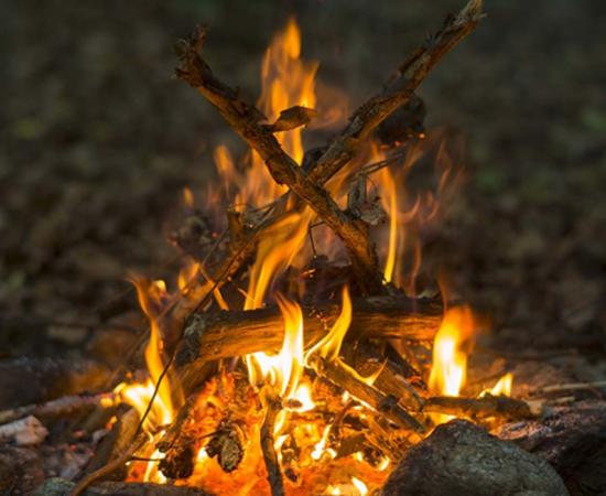 Charred food remains from hearths were discovered, left by ancient humans eating starch. Source: PetarPaunchev / Adobe.