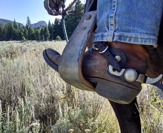 A cowboy boot in a horse’s stirrup. 