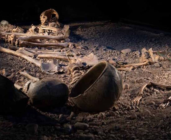 Stone age remnants from Bergsgraven in Linköping.                Source: Östergötland Museum/Stockholm University