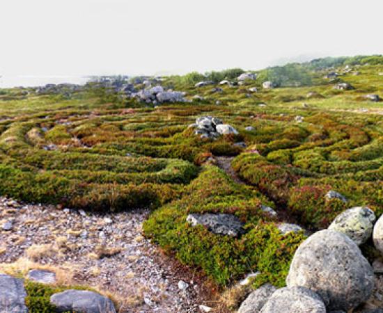 Stone Labyrinths of Bolshoi Zayatsky