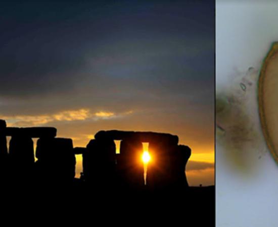 A new study has clearly revealed new information about the people who built Stonehenge (left image) by analyzing their Stonehenge feces! The image on the right shows a parasitic capillariid worm egg found in Stonehenge poop at Durrington Walls.	Source: Left: Adam Stanford; Right: Evilena Anastasiou / Parasitology