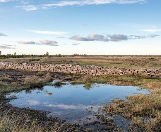 The Historic Limestone Landscape of Stora Alvaret