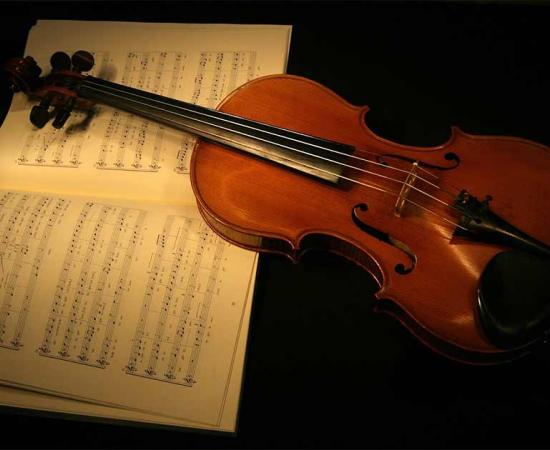 A recent international study has proven that the chemical treatments used on Stradivarius violins both preserved them from insects and fungus but also added to their exceptional acoustic properties.                                                        Source: estima / Adobe StocK